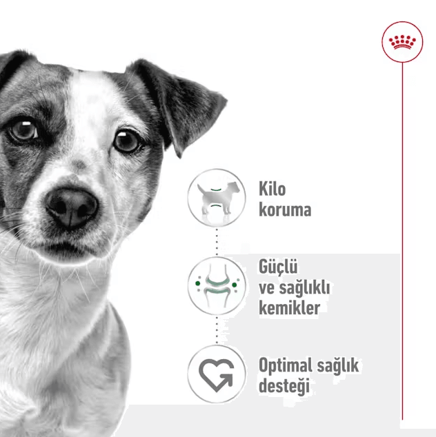 Royal Canin Mini Adult Küçük Irk Yetişkin Köpek Maması