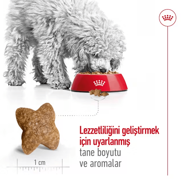 Royal Canin Mini Adult Küçük Irk Yetişkin Köpek Maması