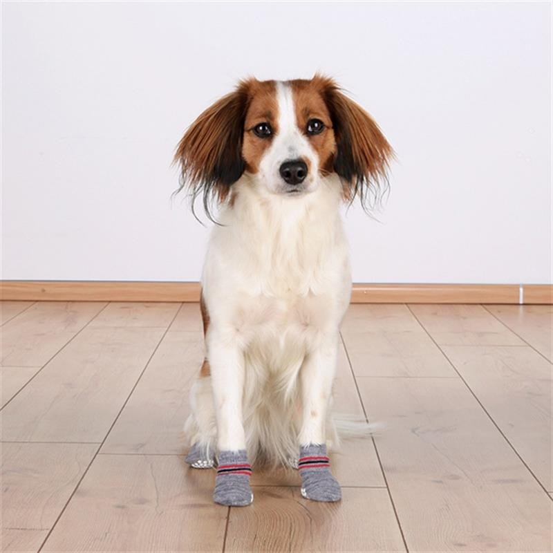 Trixie Köpek Çorabı Kaymaz