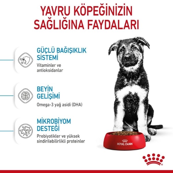 Royal Canin Maxi Puppy Büyük Irk Yavru Köpek Maması