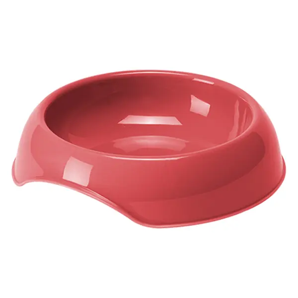 Moderna: Köpekler İçin En İyi 10 Aksesuar (Konfor ve Stil) Moderna: Köpekler İçin En İyi 10 Aksesuar (Konfor ve Stil)