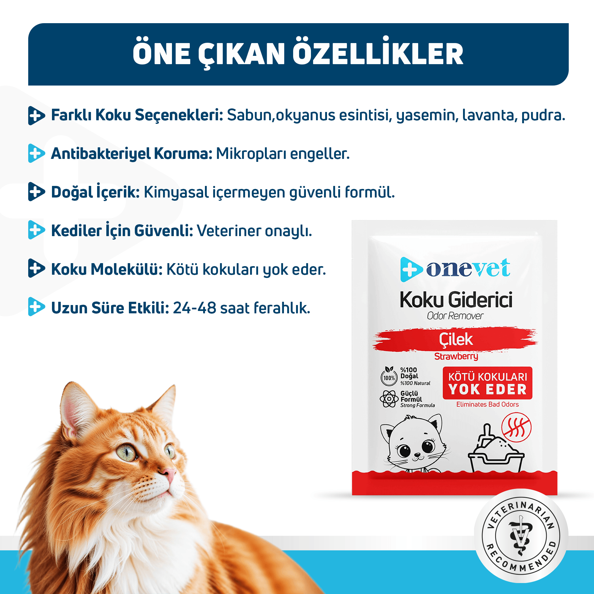 OneVet Kedi Kumu Koku Giderici