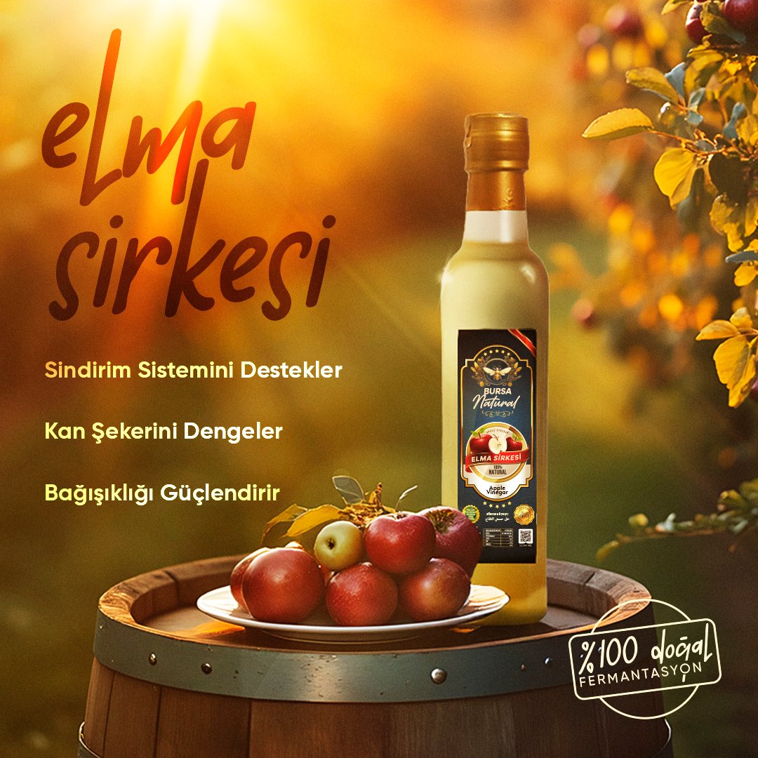 Elma Sirkesi