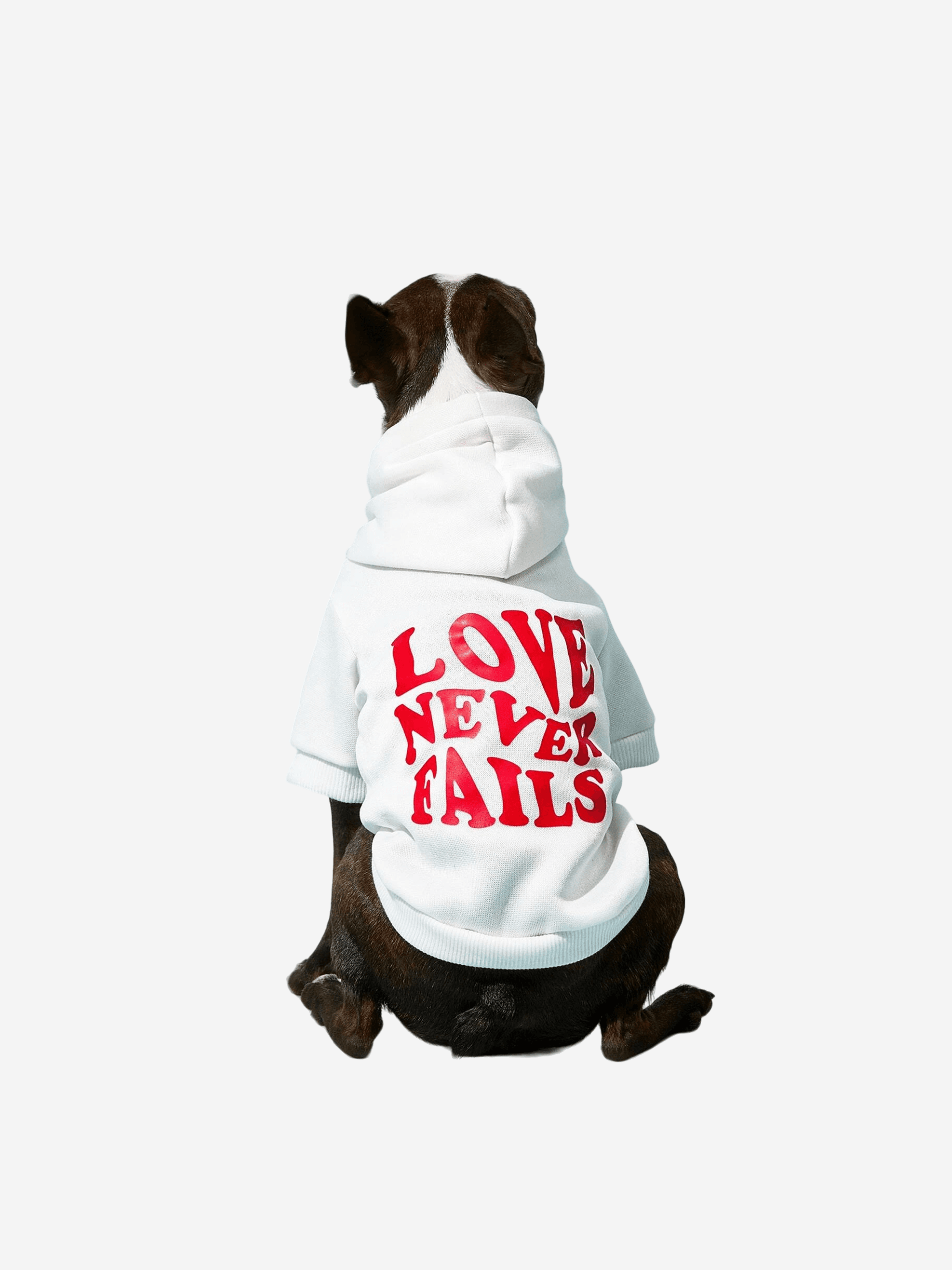 Love Never Fails Kısa Kollu Hoodie