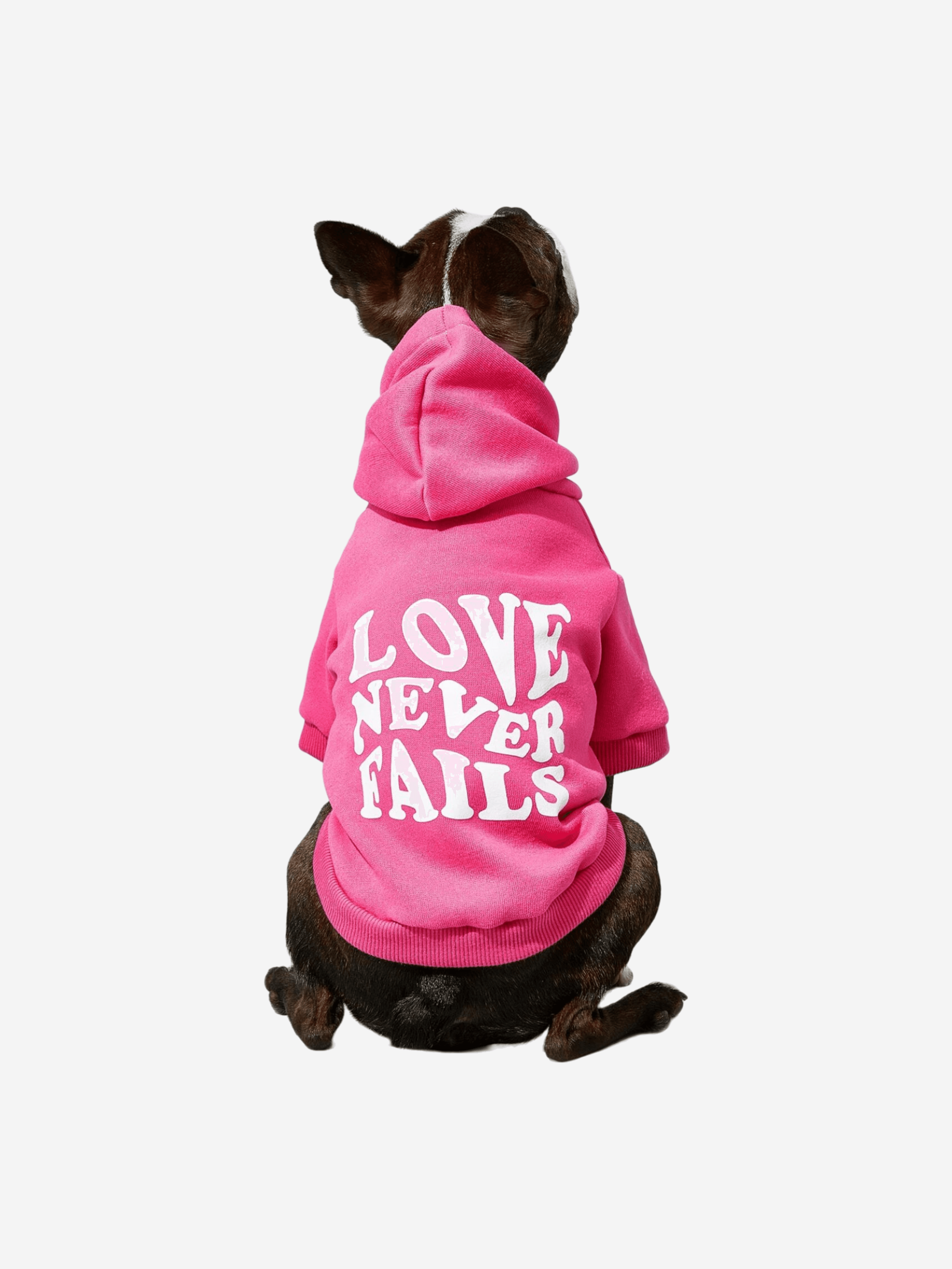 Love Never Fails Kısa Kollu Hoodie