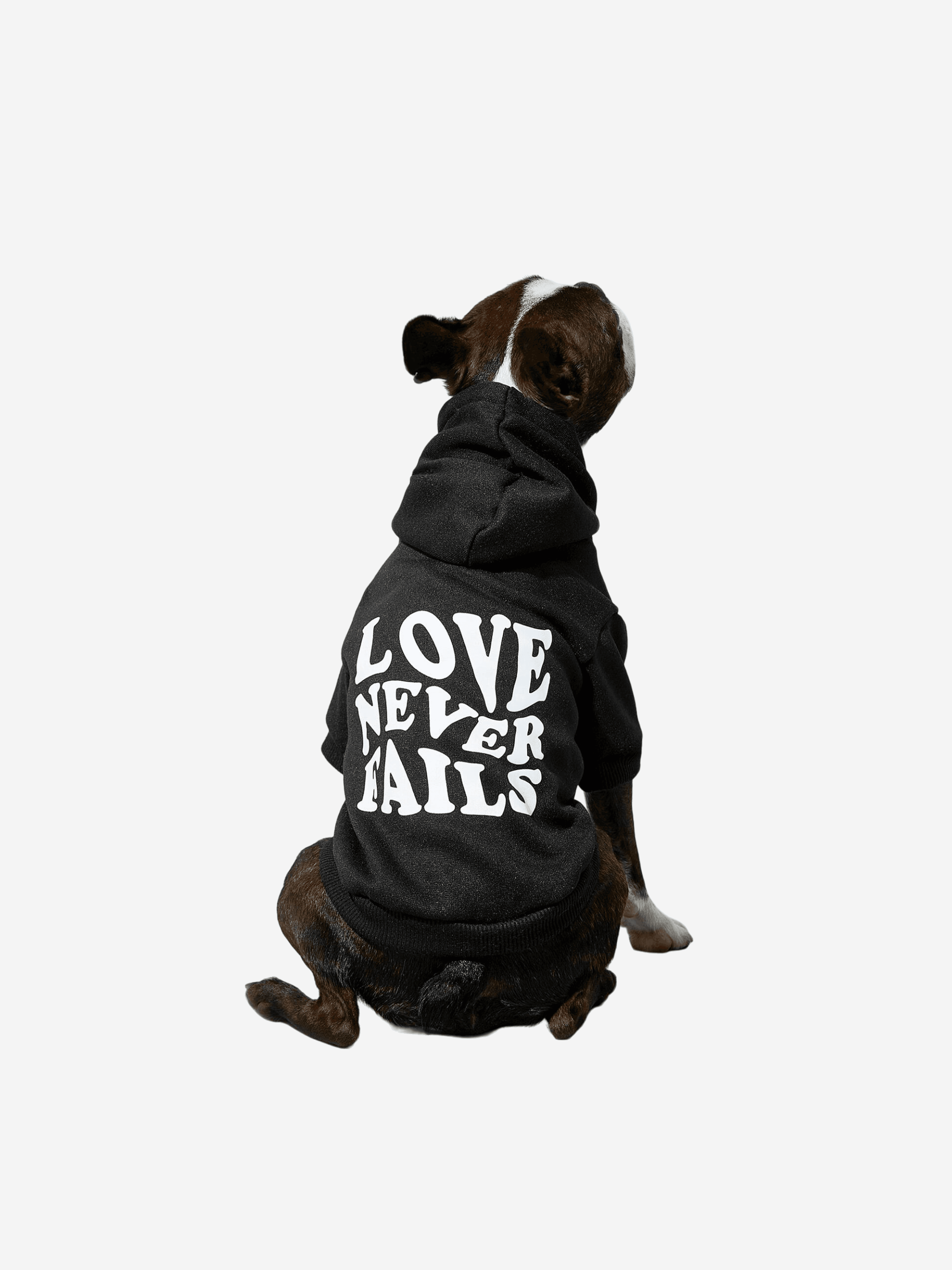 Love Never Fails Kısa Kollu Hoodie