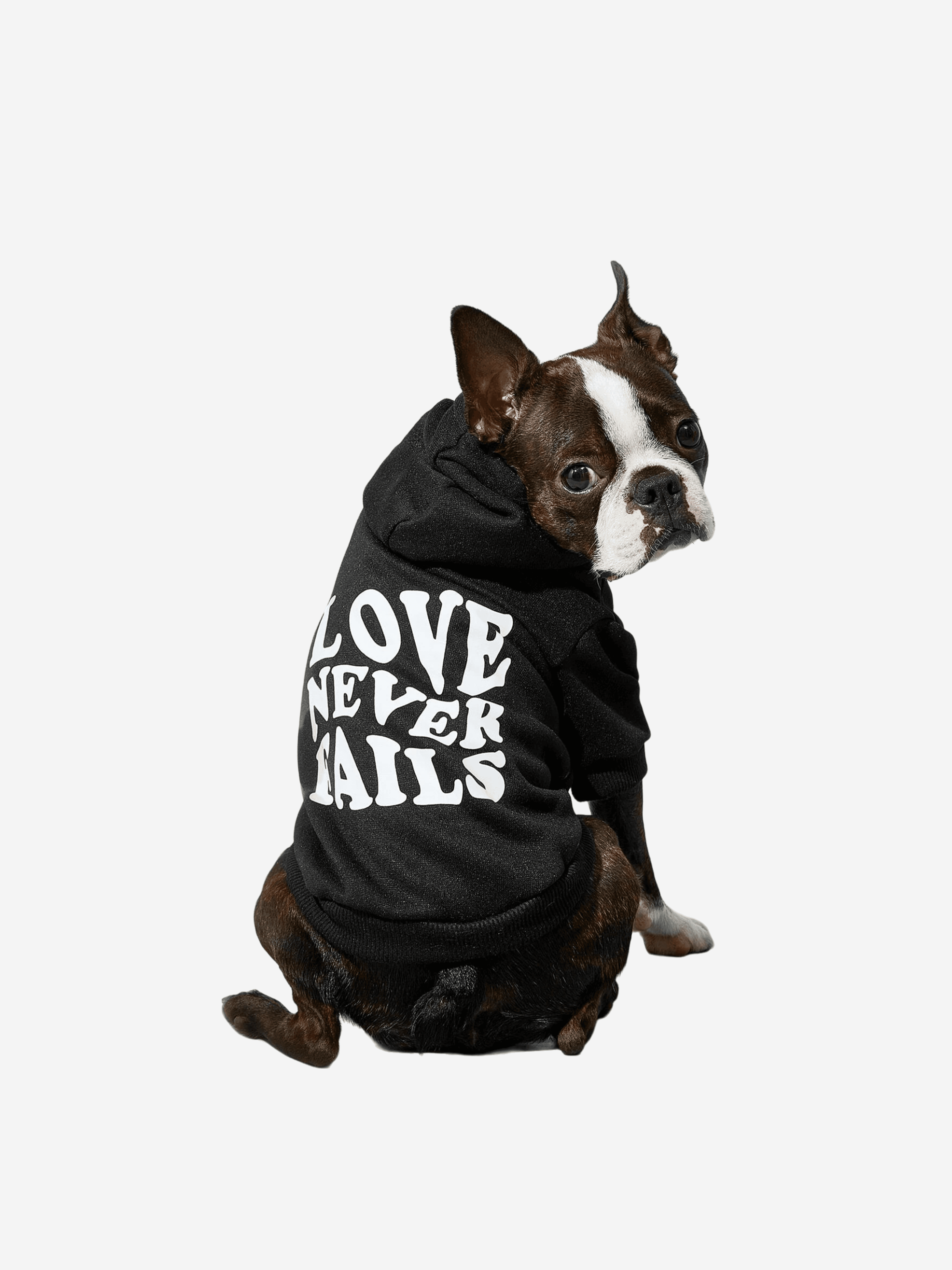 Love Never Fails Kısa Kollu Hoodie