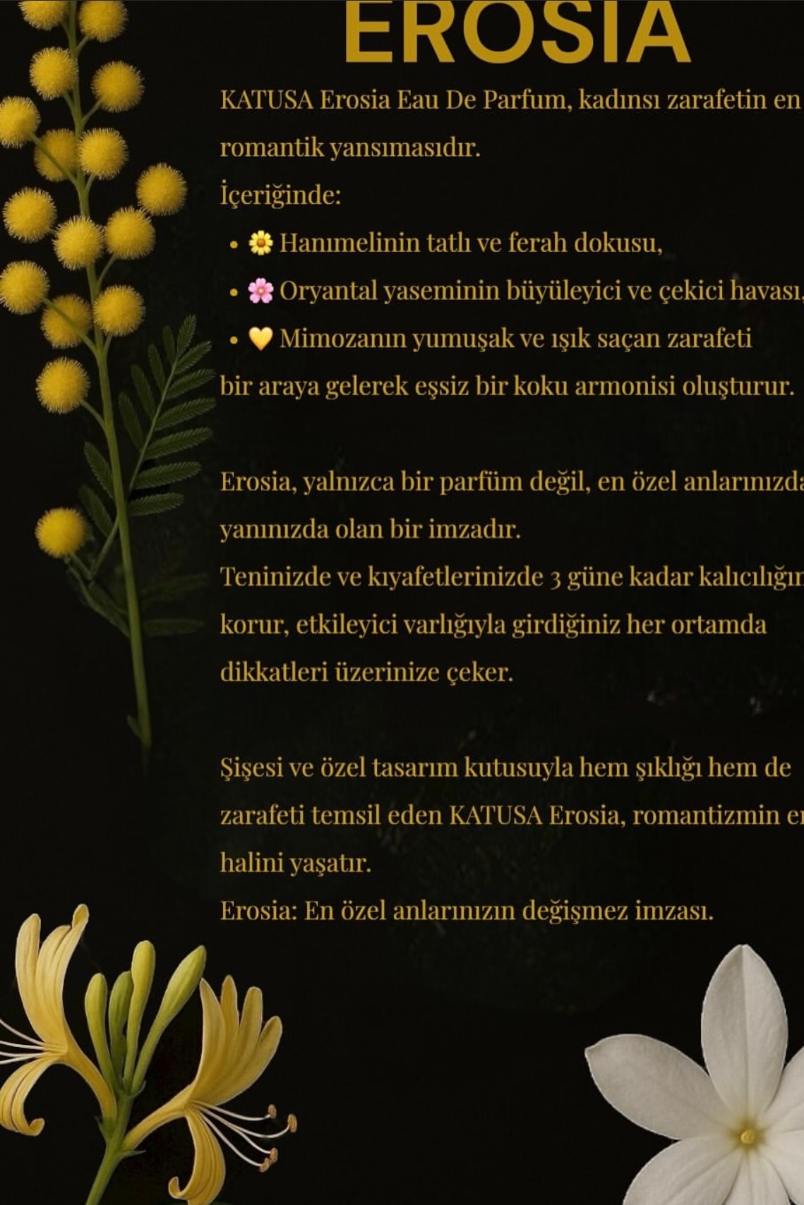 Kadın Parfümü K5082 - EROSIA
