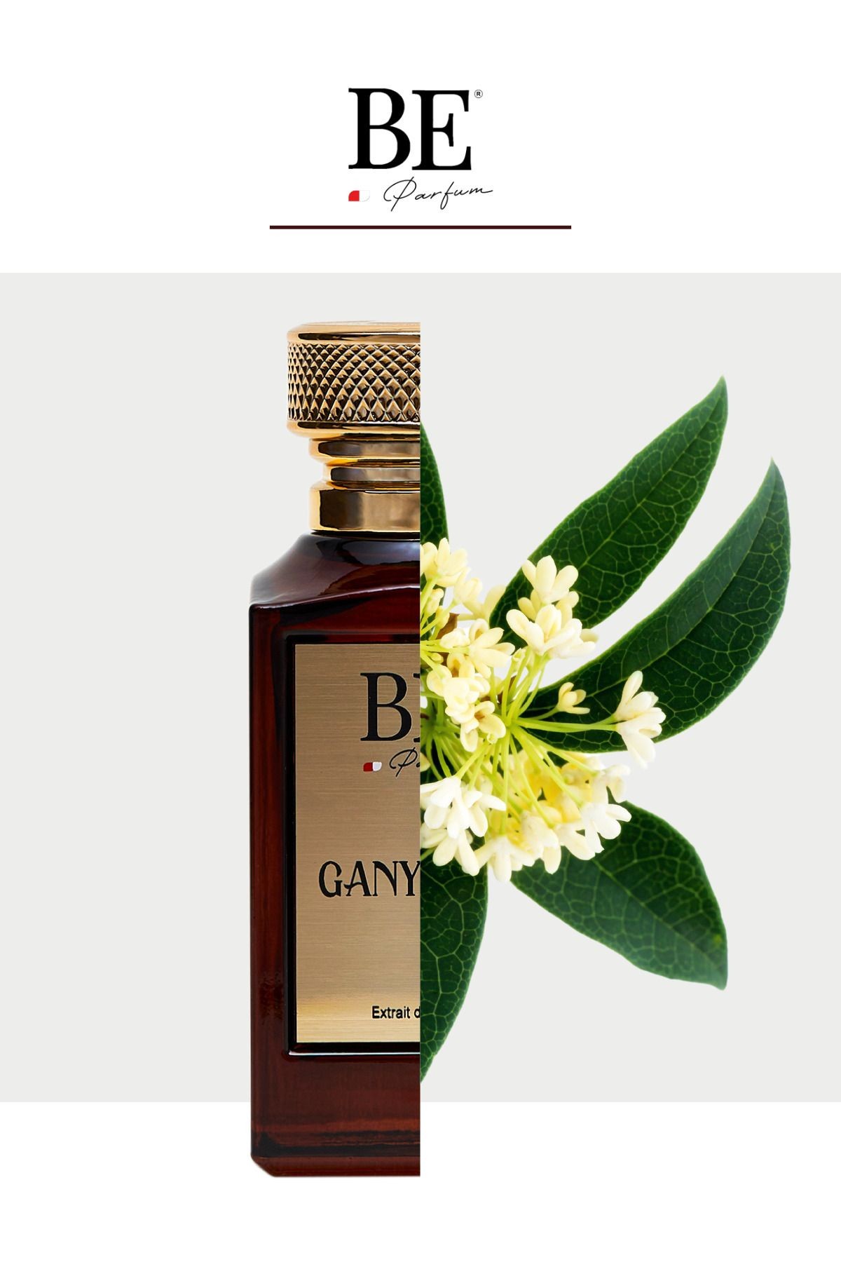 Ganymede 100 ml Extrait De Parfum