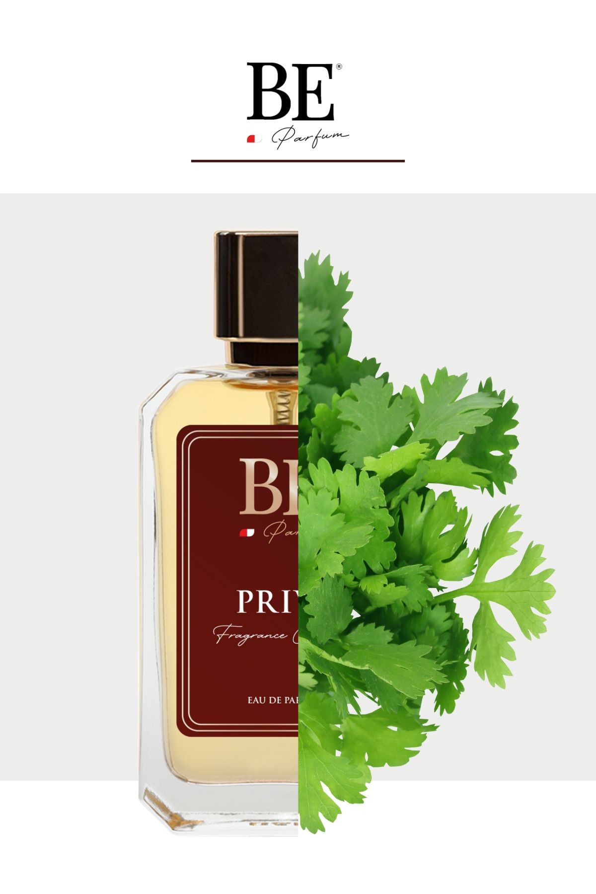M-300 Prive Unisex 100 ml EDP