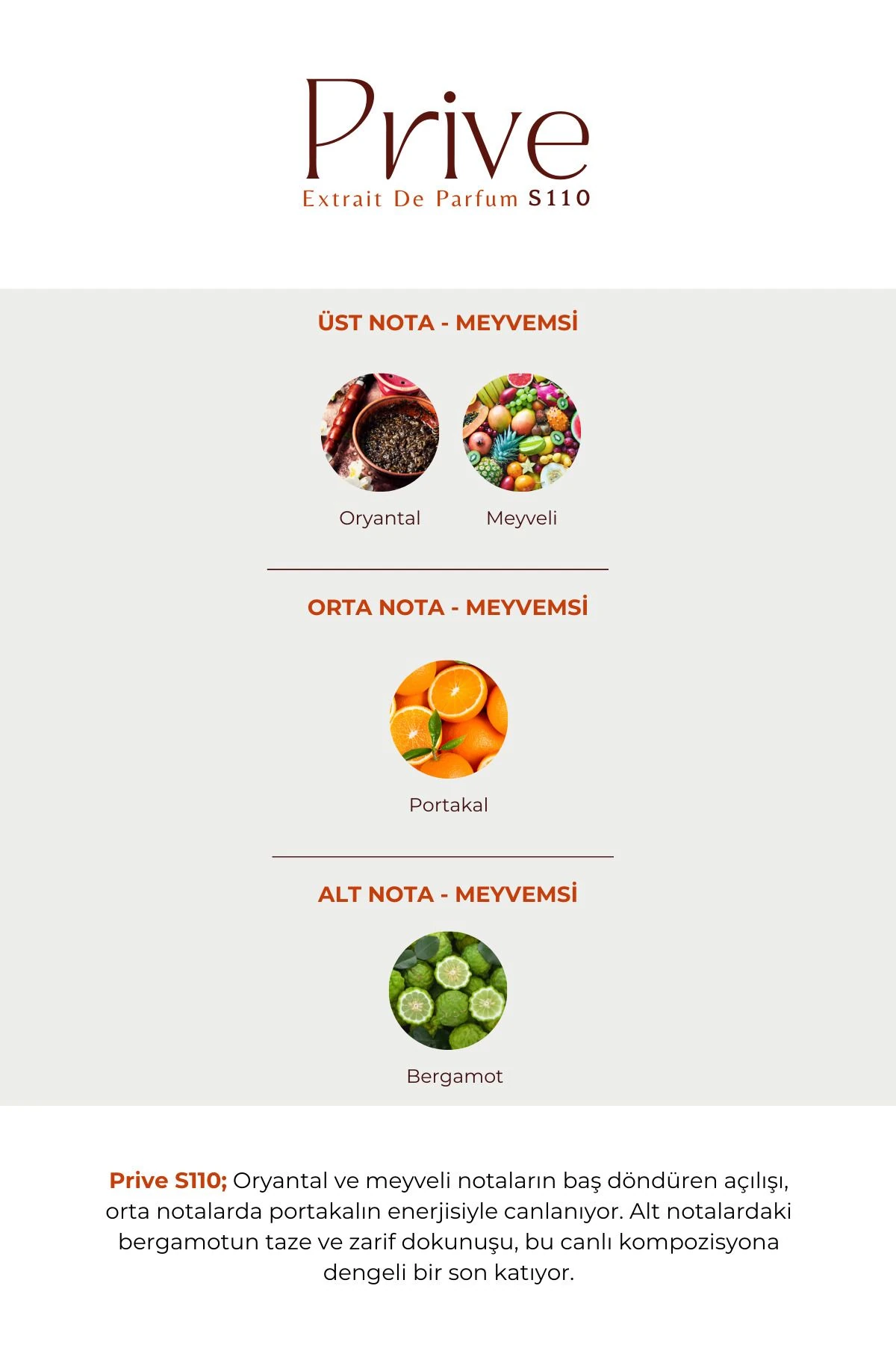 S-110 Prive Unisex 100 ml EDP