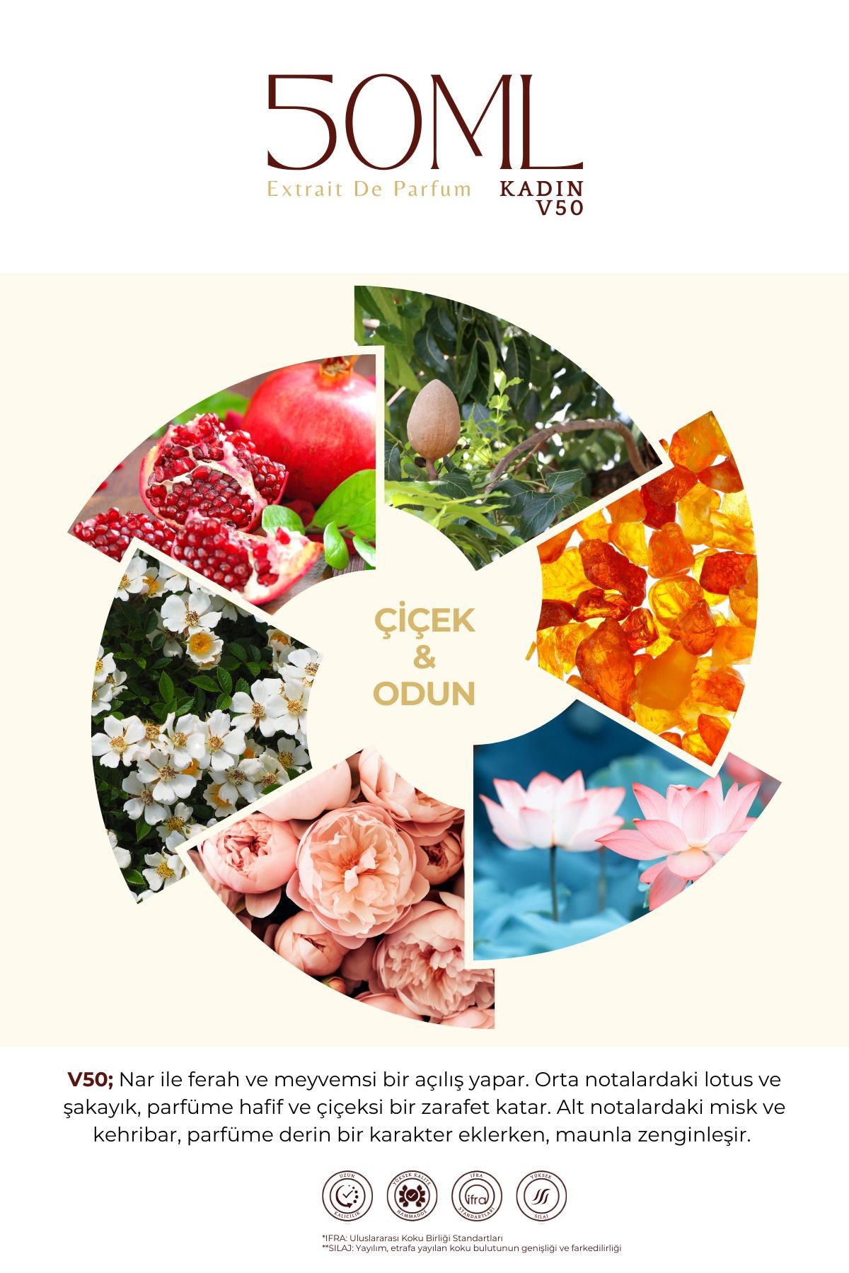 V-50 Kadın 50 ml EDP Parfüm