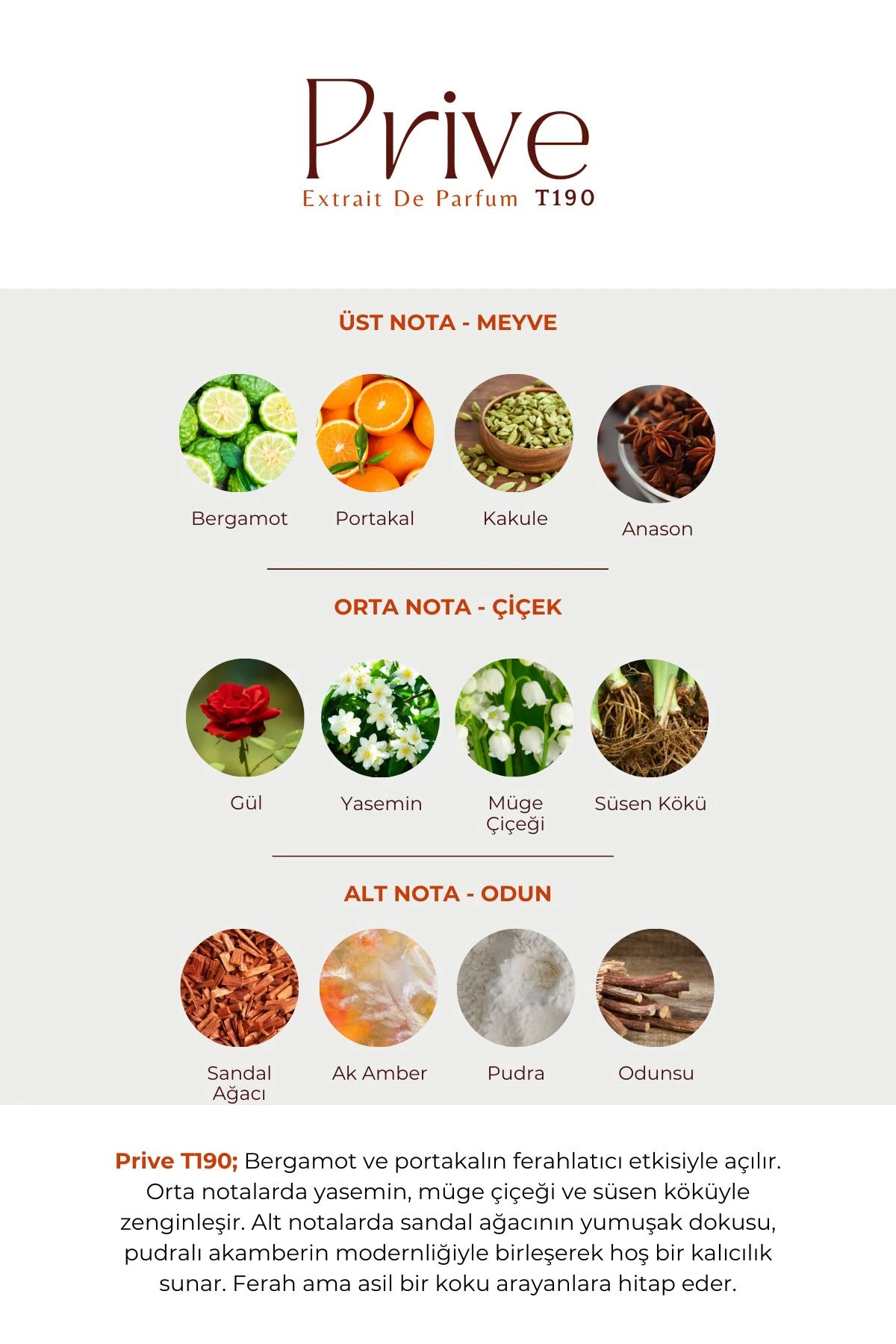 T-190 Prive Unisex 100 ml EDP