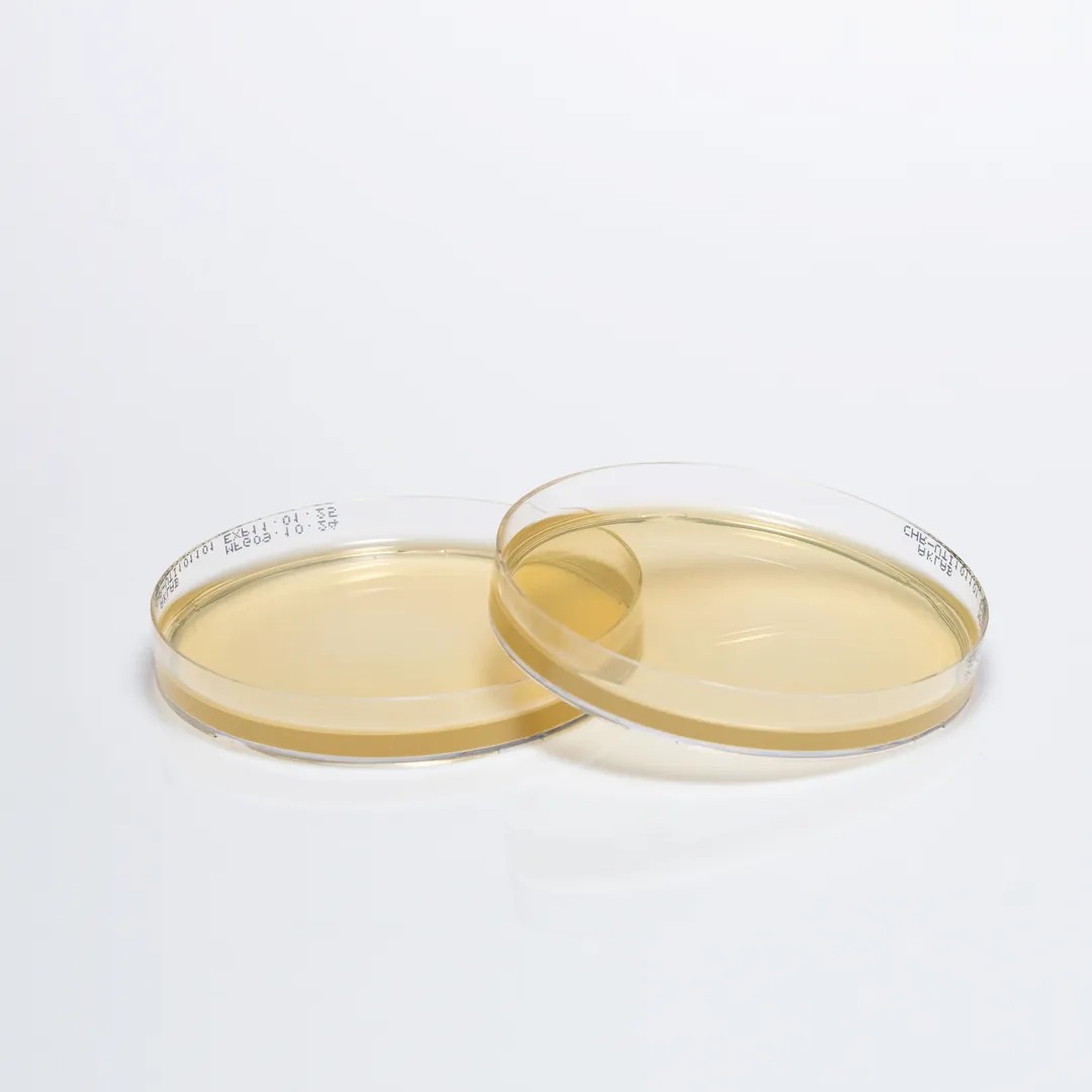 CHROMOGENIC CAMPYLOBACTER AGAR