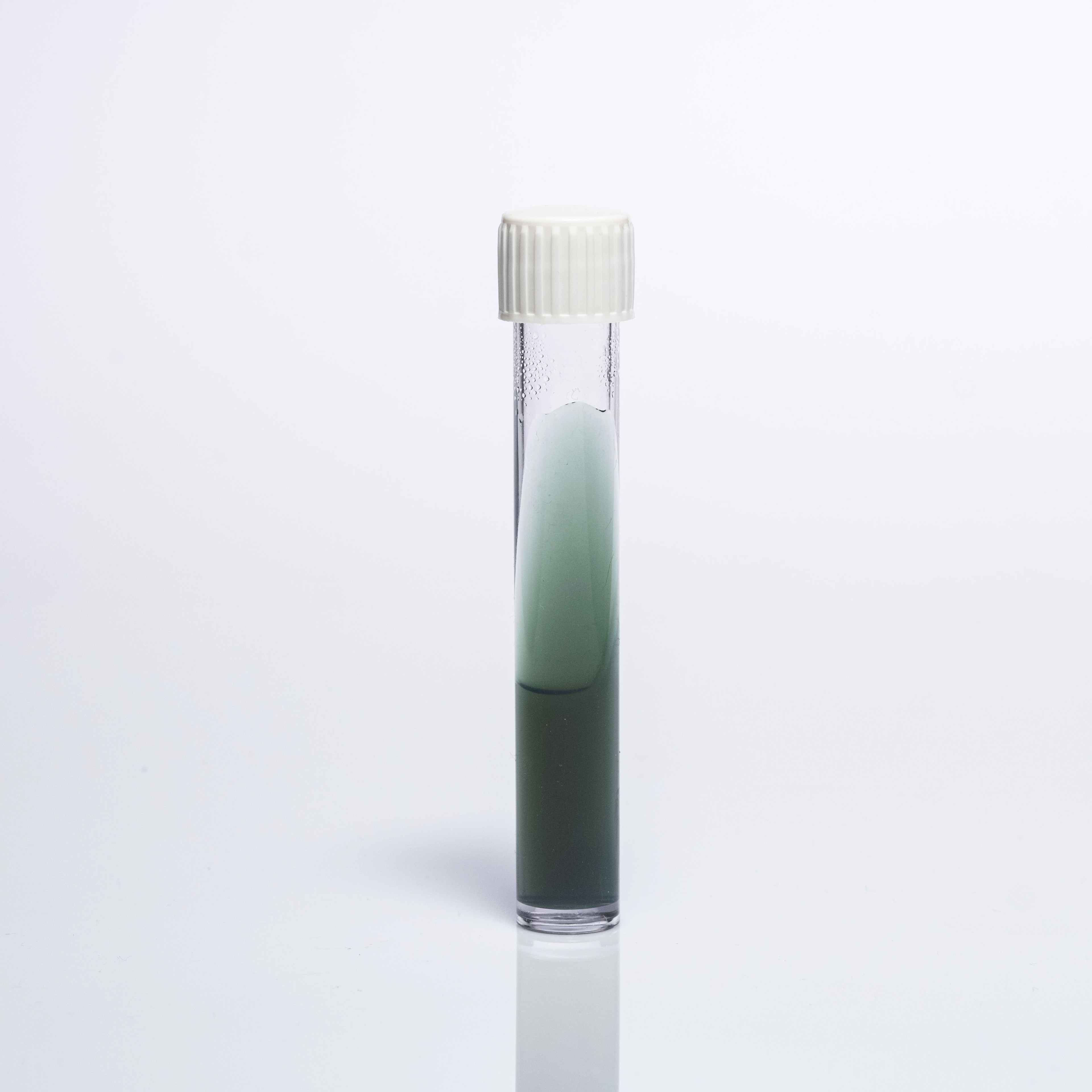 ENTEROBACTERIACEAE ENRICHMENT (EE) BROTH
