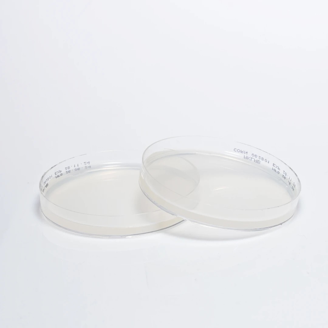 CORN MEAL AGAR