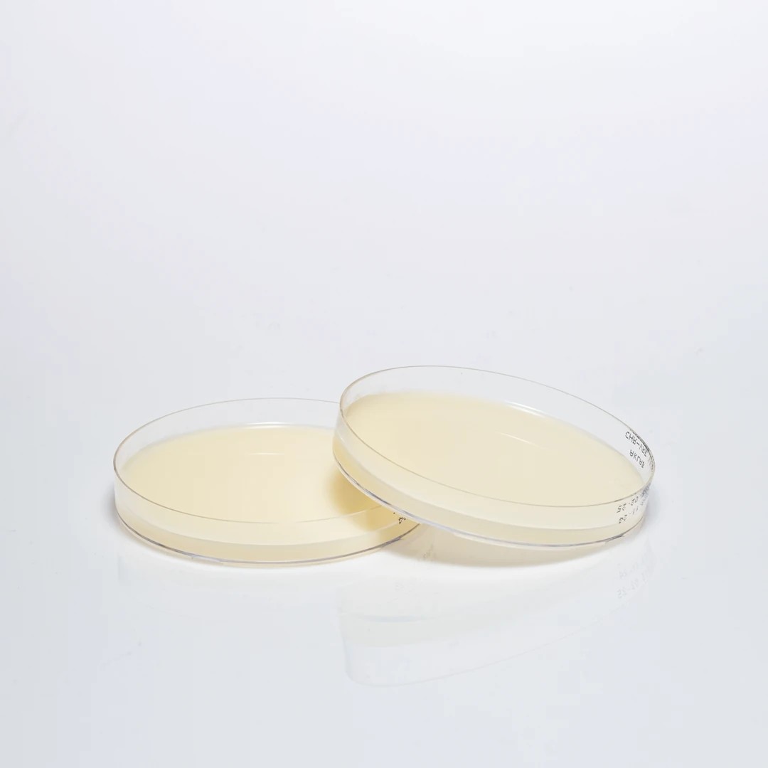 Hazır Chromogenic VRE Besiyeri
