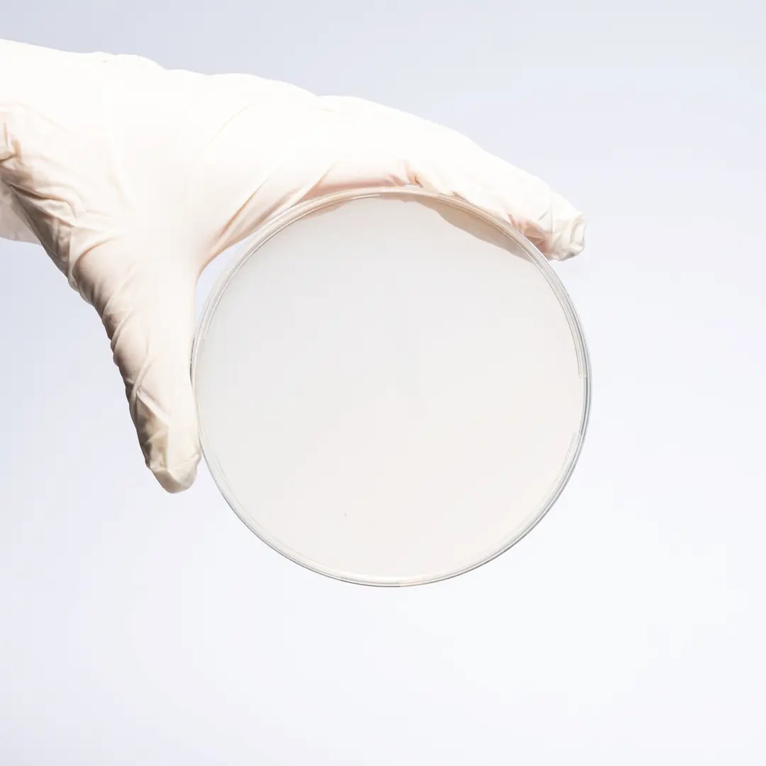MUELLER HINTON AGAR, 120 MM PETRI DISH AGAR