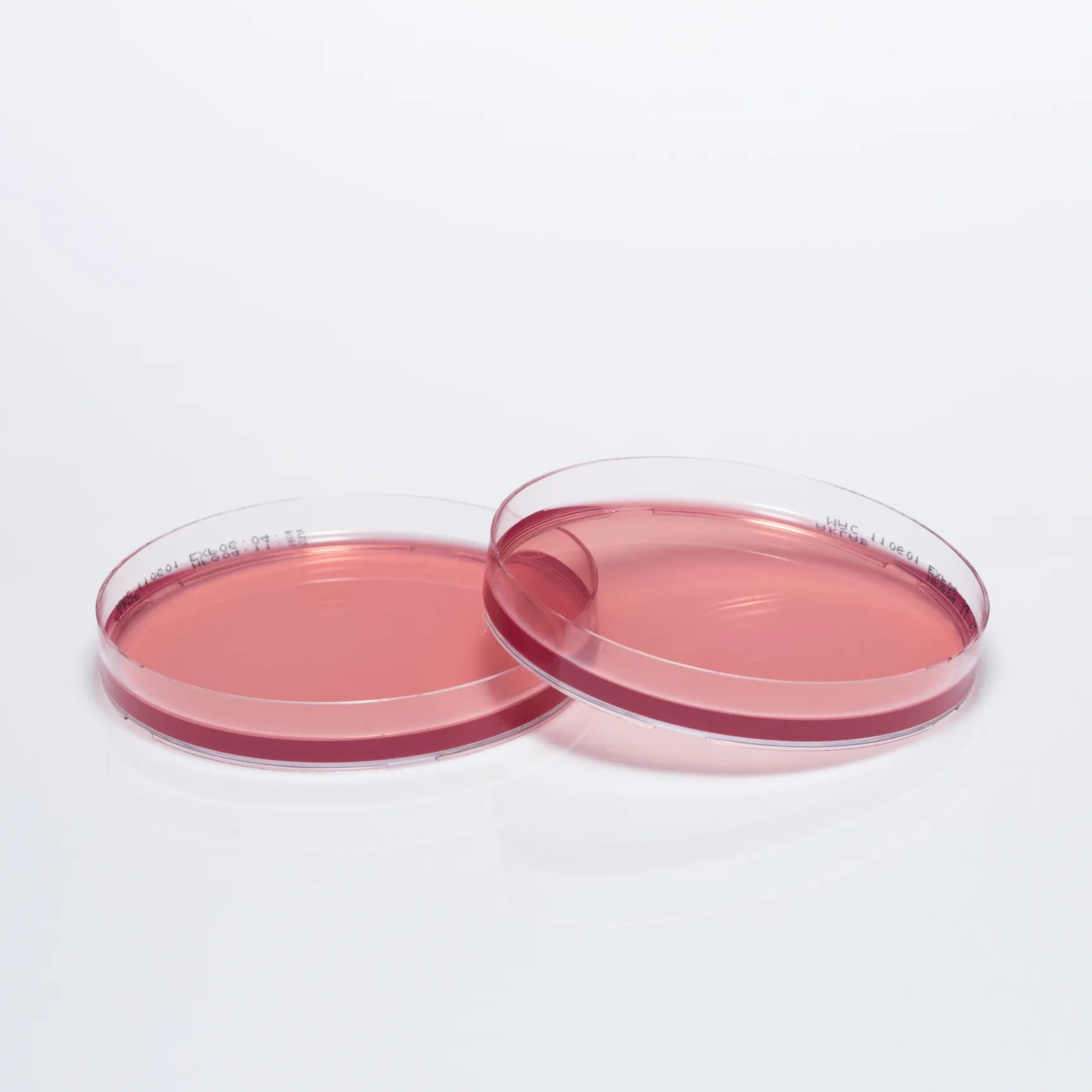 MACCONKEY AGAR