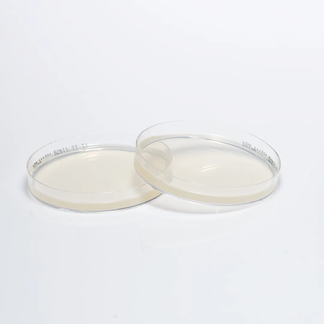 POTATO DEXTROSE AGAR