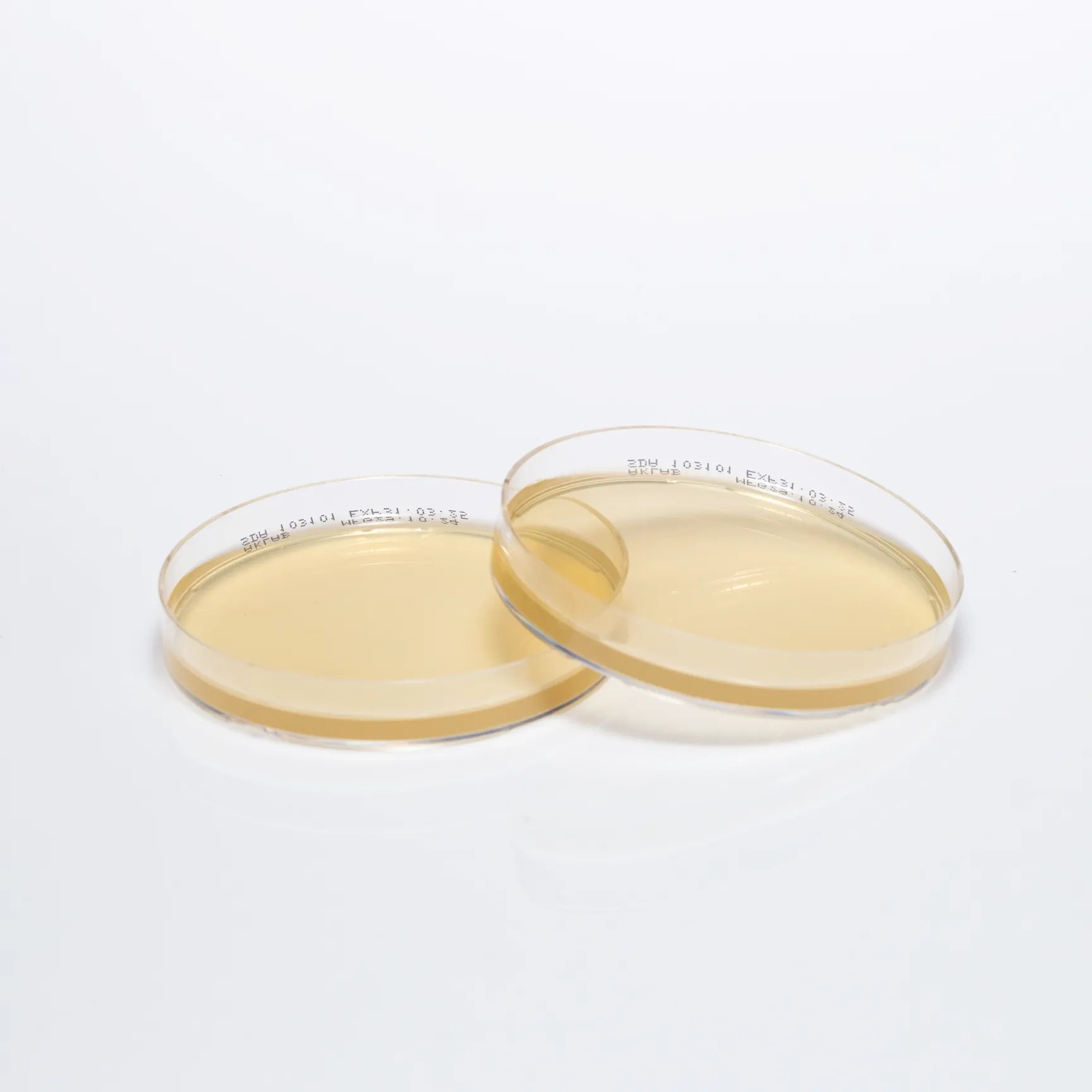 SABOURAUD DEXTROSE AGAR (SDA)