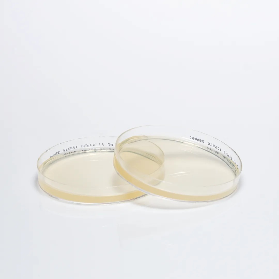 DNASE AGAR