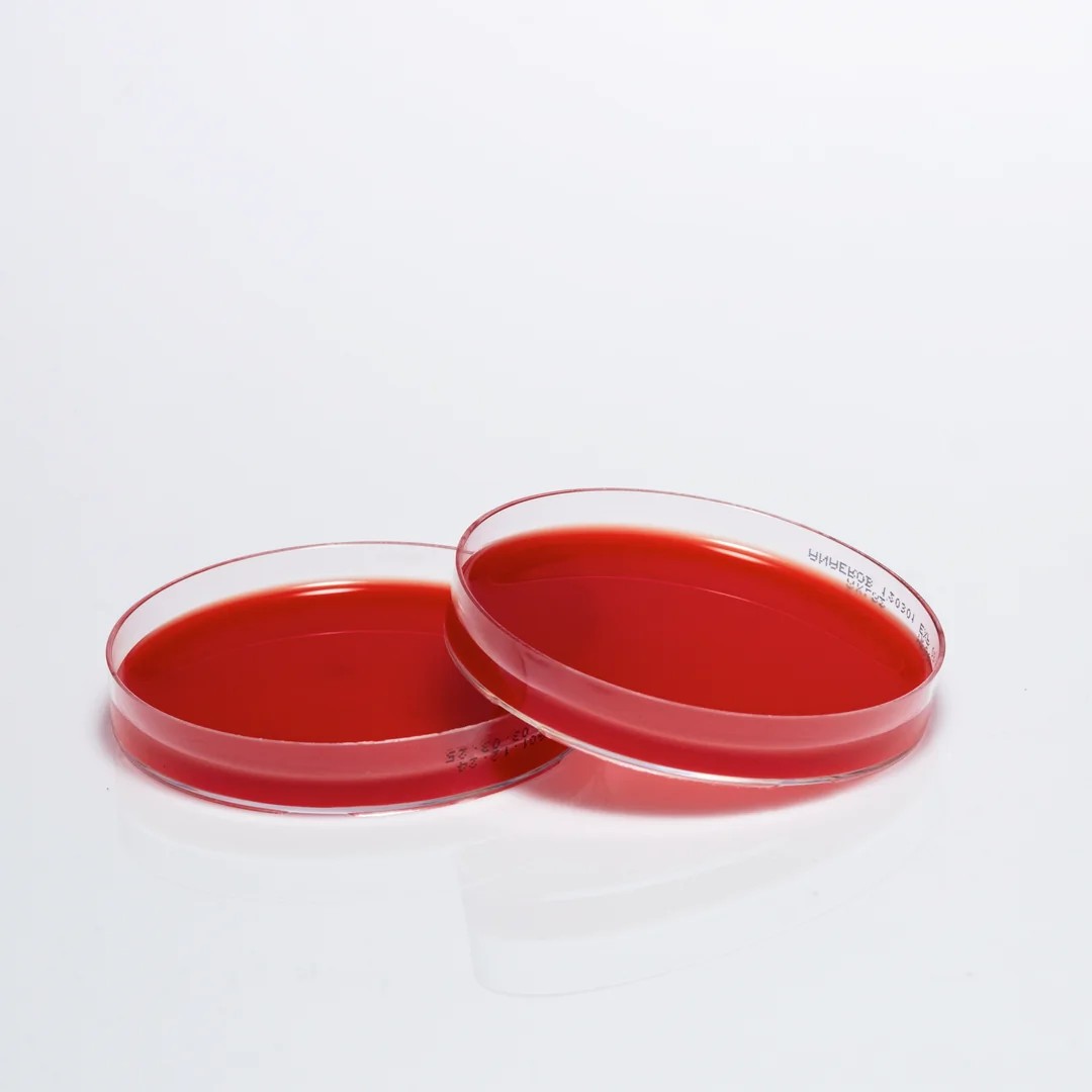 ANAEROBIC CULTURE MEDIUM AGAR