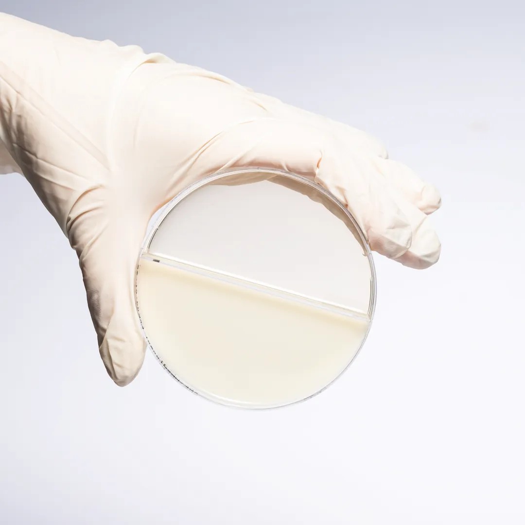 CHROMOGENIC MRSA + CHROMOGENIC VRE AGAR