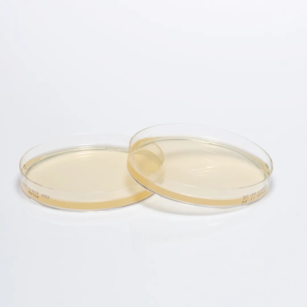 Hazır Sabouraud Dextrose + Cycloheximide Besiyeri