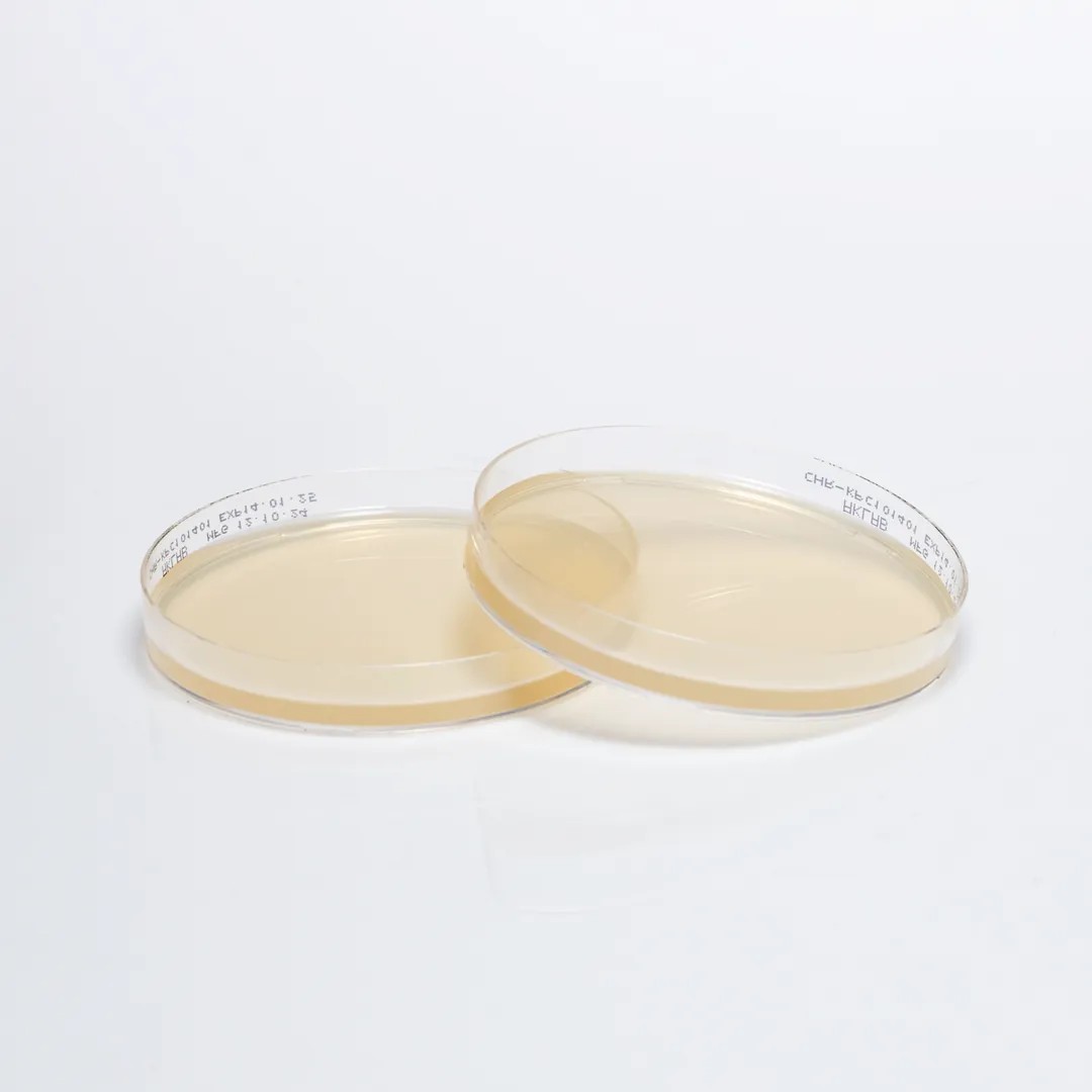 Hazır Chromogenic KPC Besiyeri