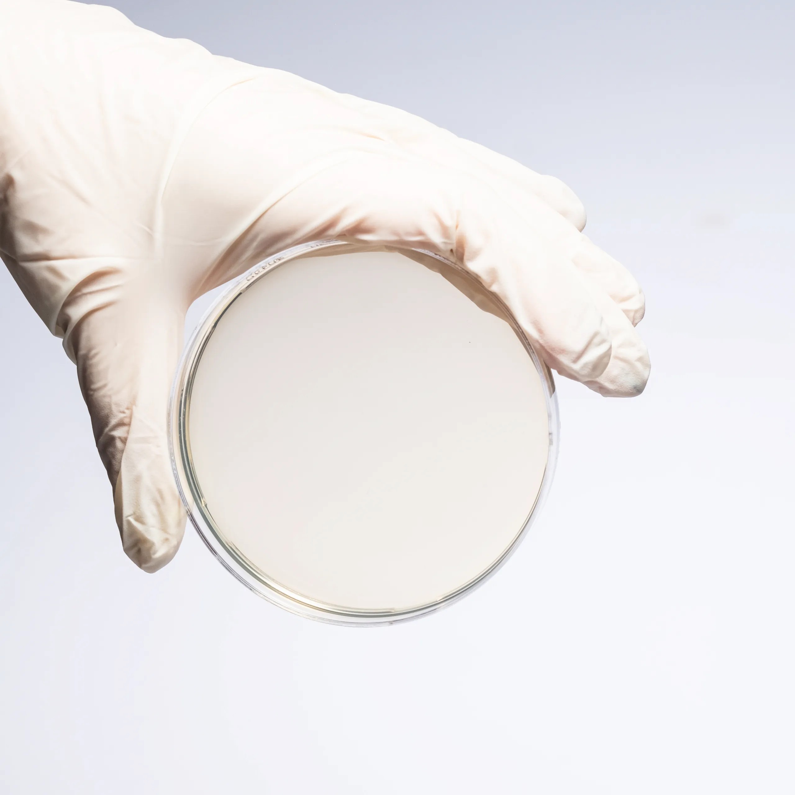 PLATE COUNT AGAR