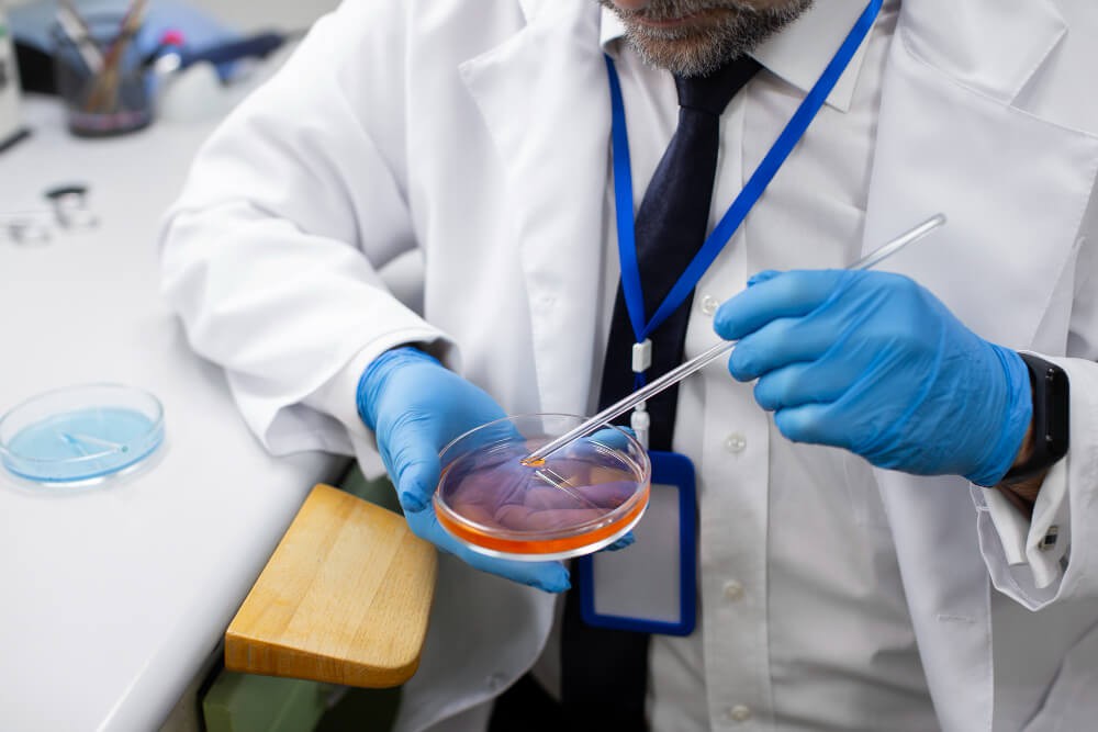 Agar Agar Nedir?