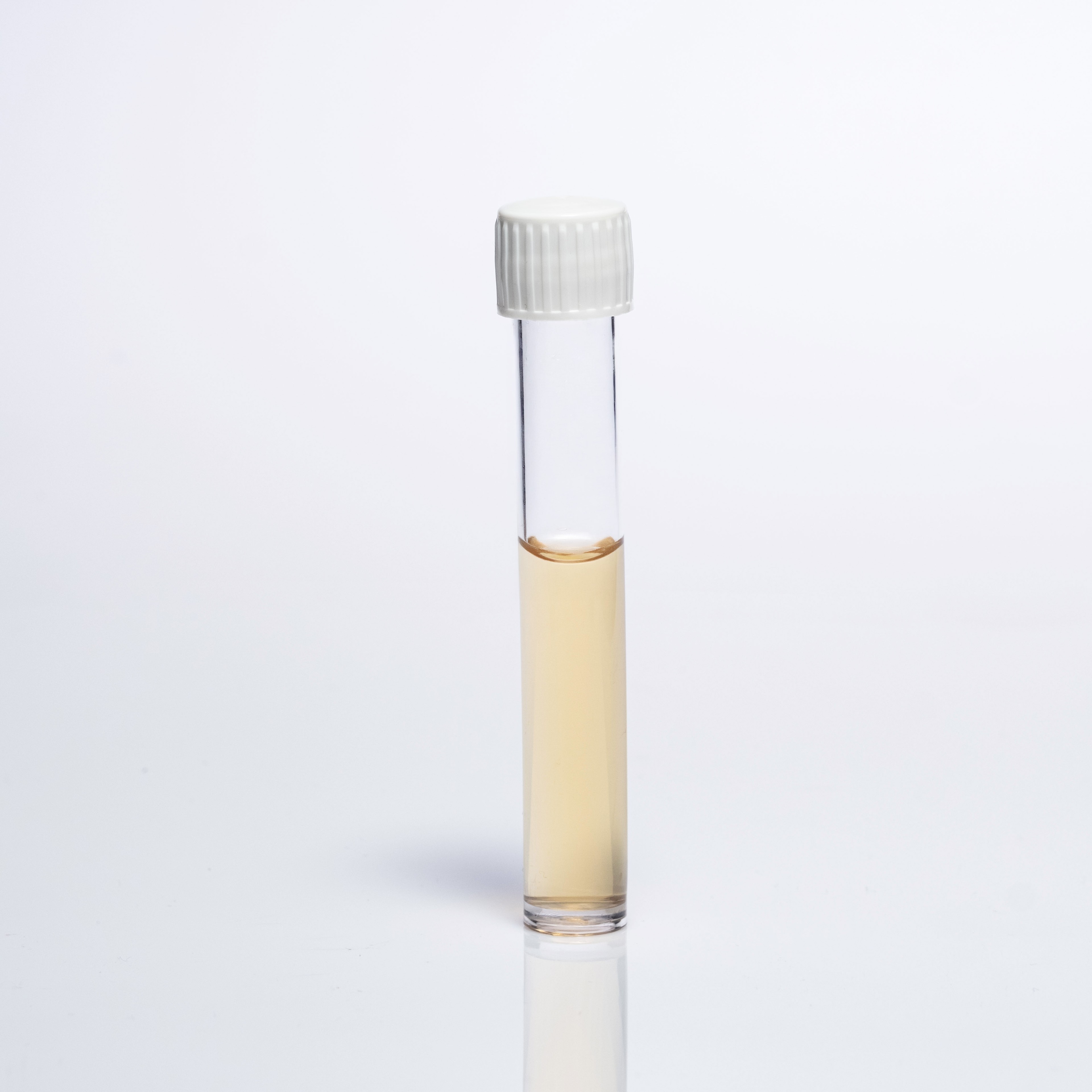 TRYPTIC SOY BROTH
