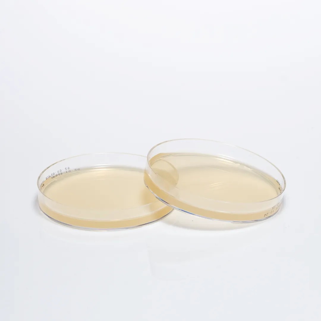 MUELLER HINTON AGAR, 90 MM PETRI DISH