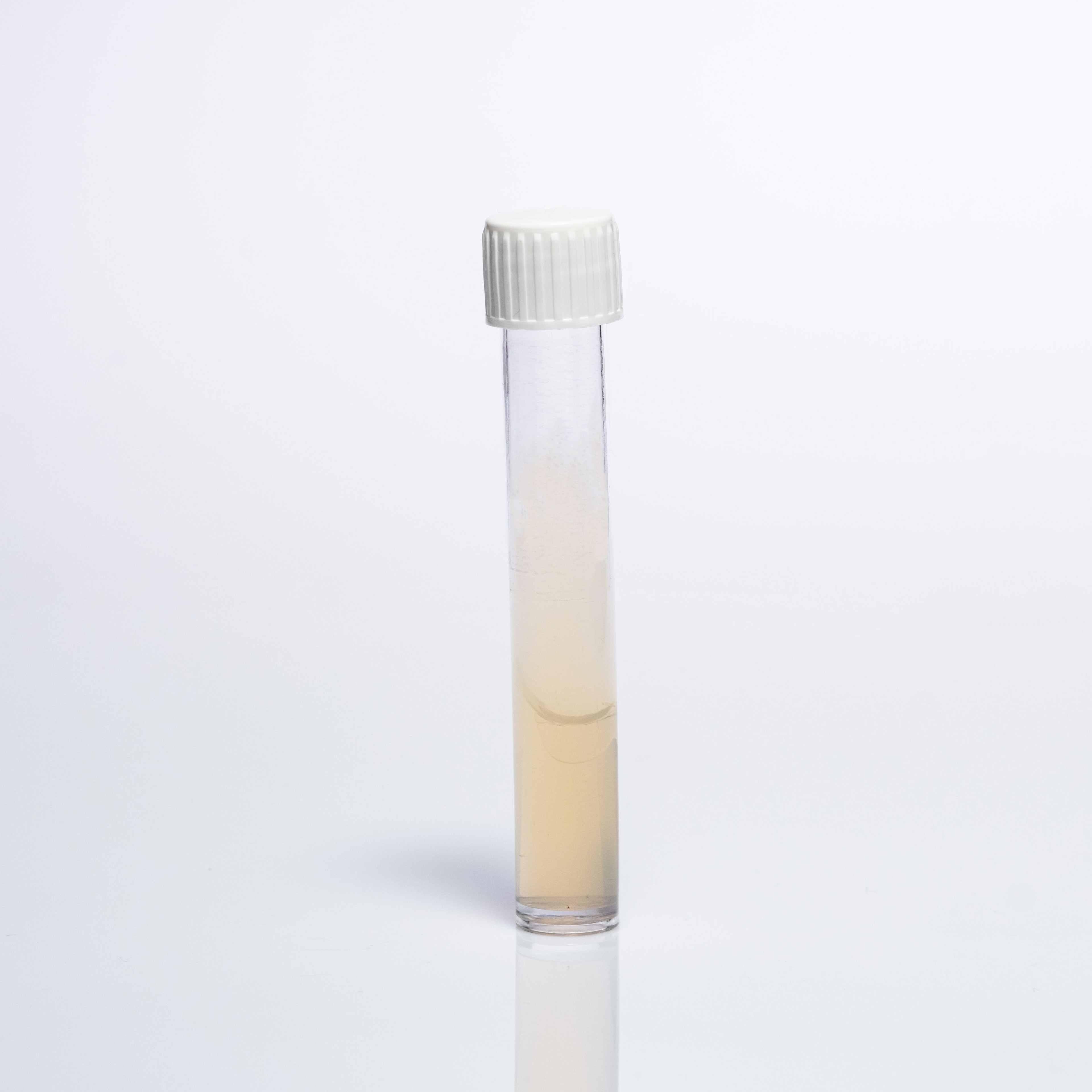 SABOURAUD DEXTROSE BROTH