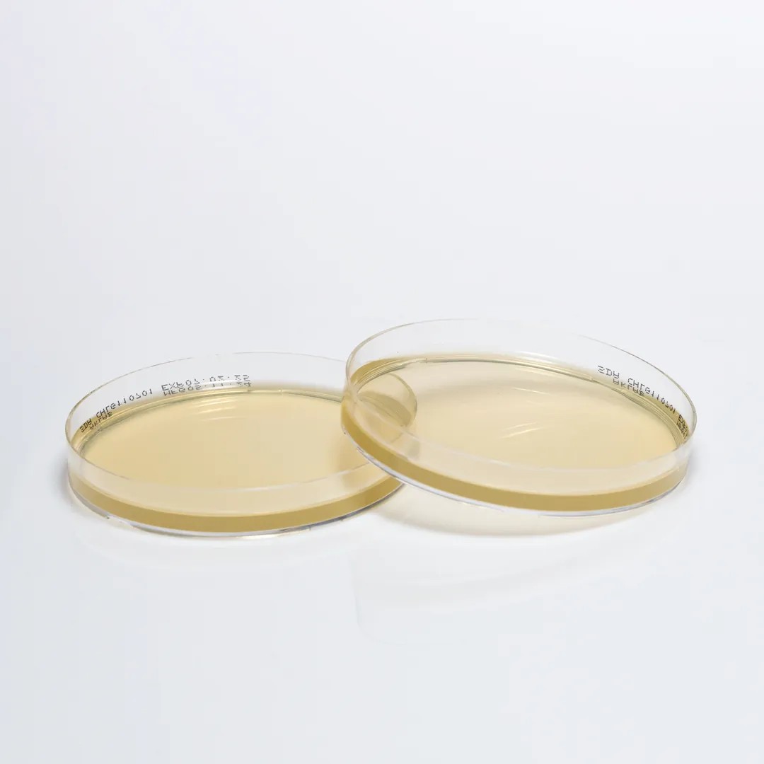 SABOURAUD DEXTROSE AGAR + GENTAMICIN + CHLORAMPHENICOL AGAR
