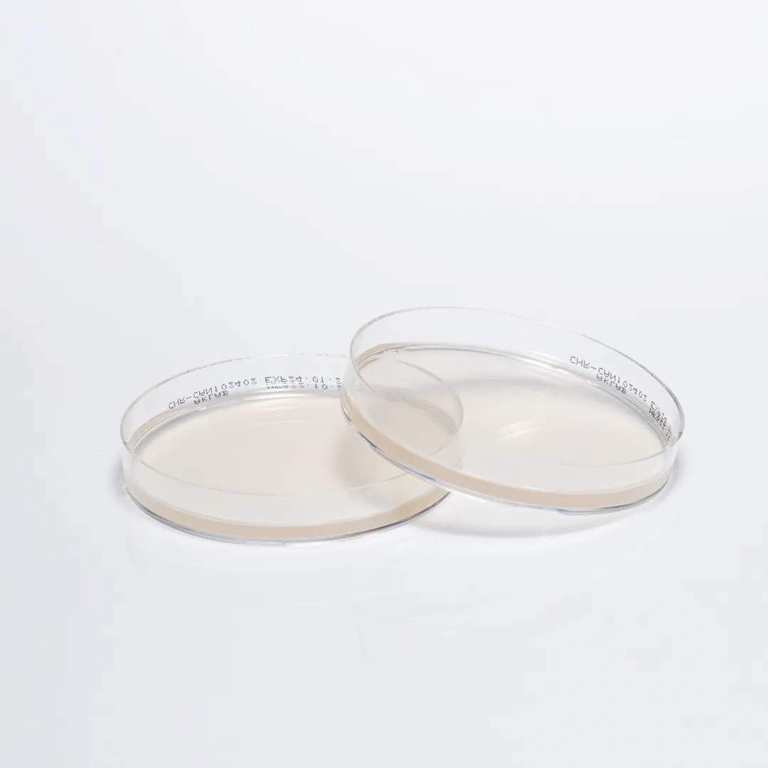 Hazır Chromogenic Candida Besiyeri