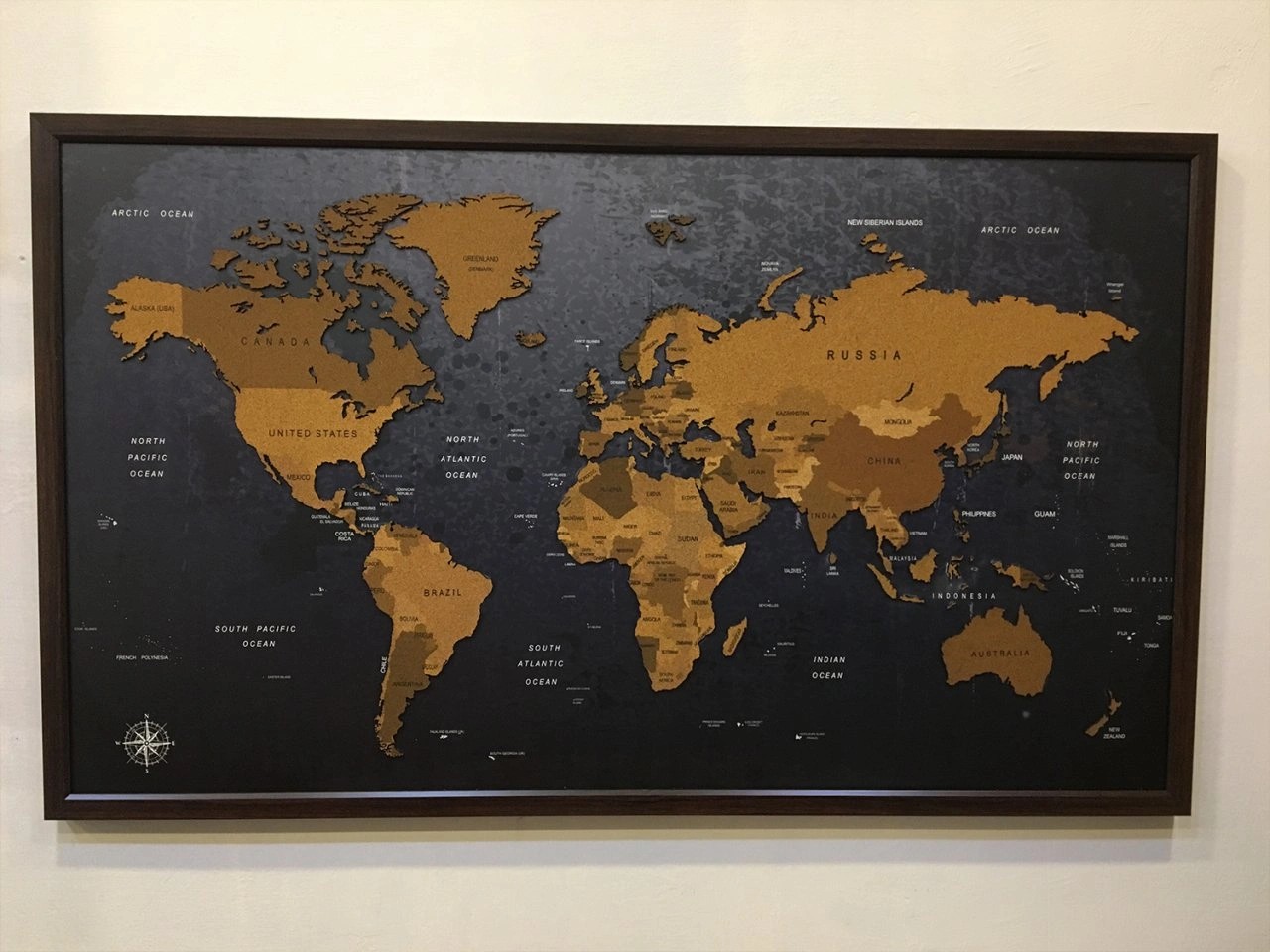 402 - 3D Mantar Dünya Haritası