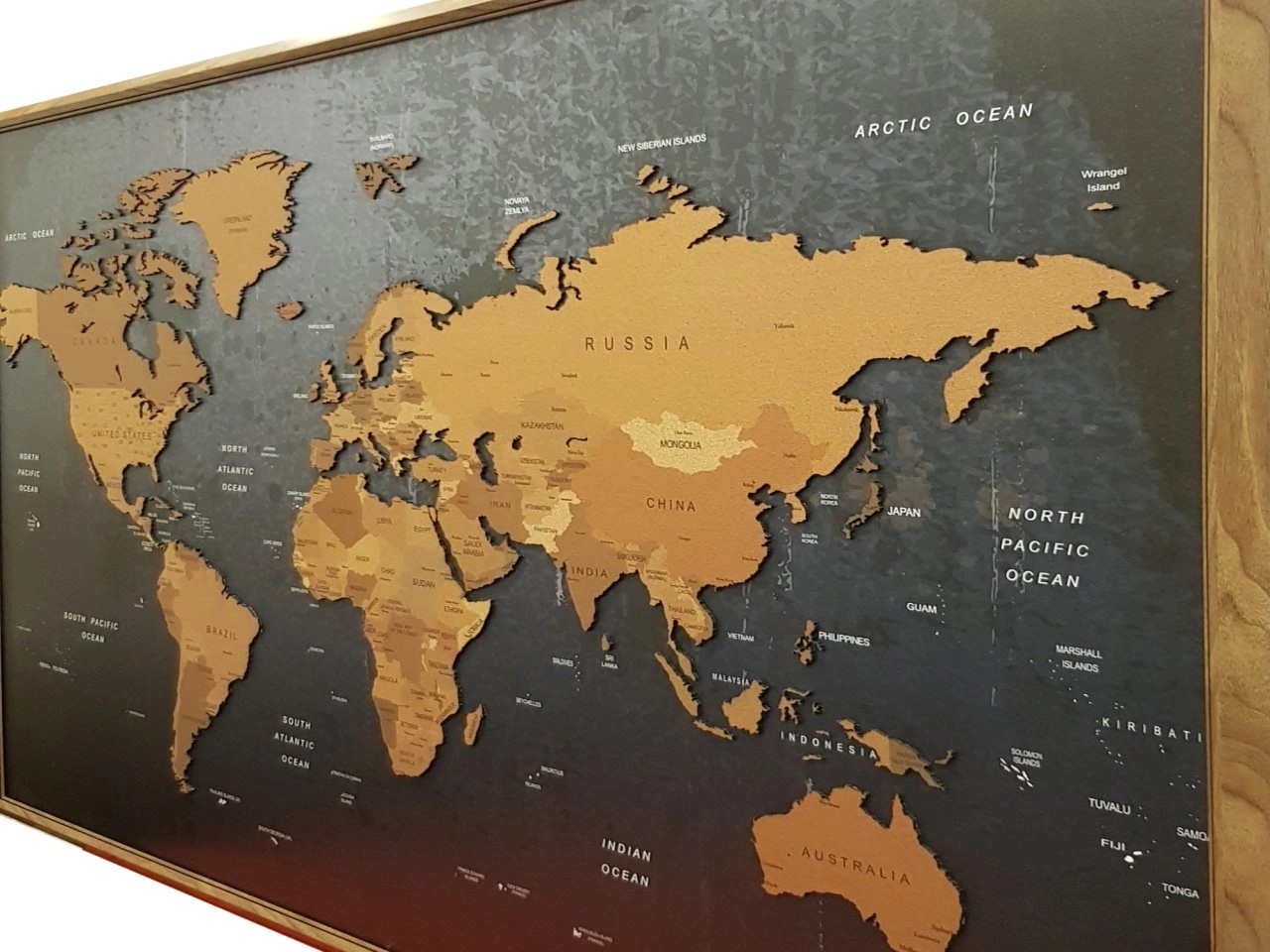 504 - 3D Mantar Dünya Haritası