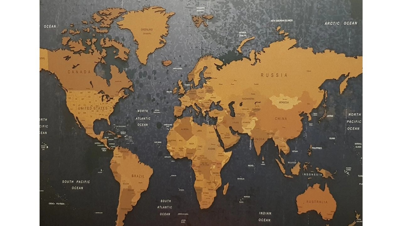 504 - 3D Mantar Dünya Haritası