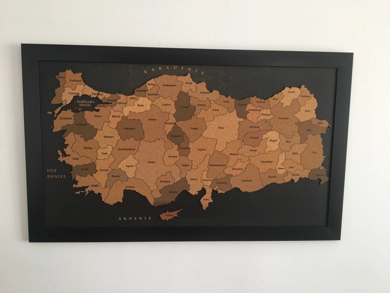 402 - 3D Mantar Türkiye Haritası
