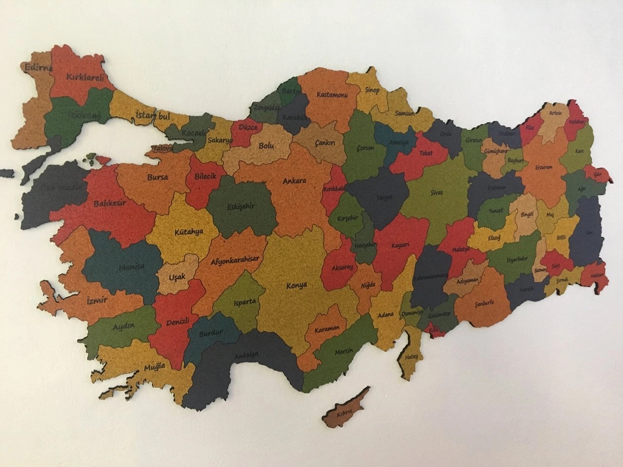 409 - Mantar Türkiye Haritası