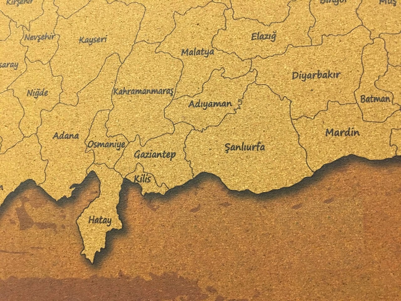 109 - Mantar Türkiye Haritası (Eskitilmiş)