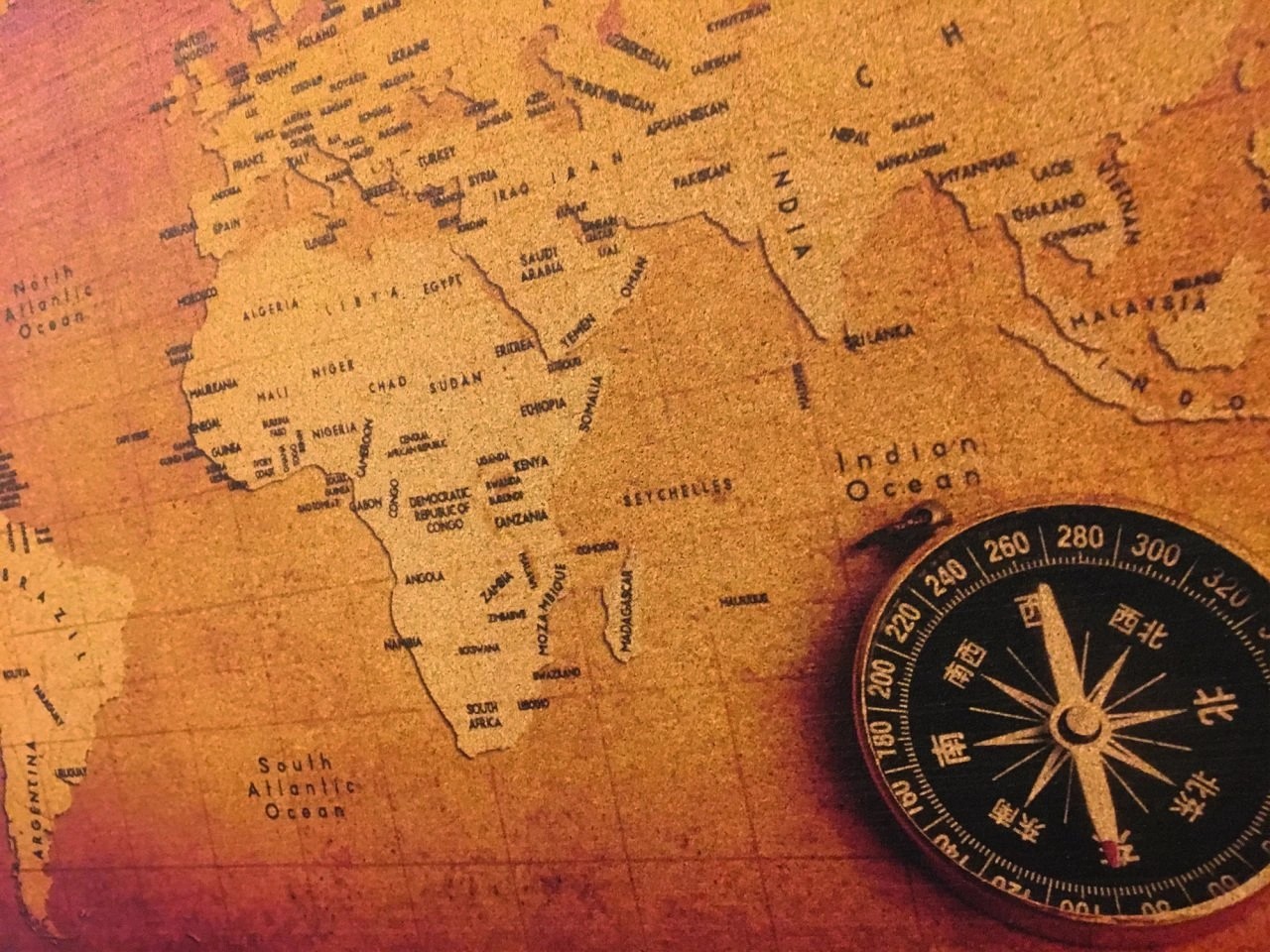105 - Mantar Dünya Haritası (Eskitilmiş)