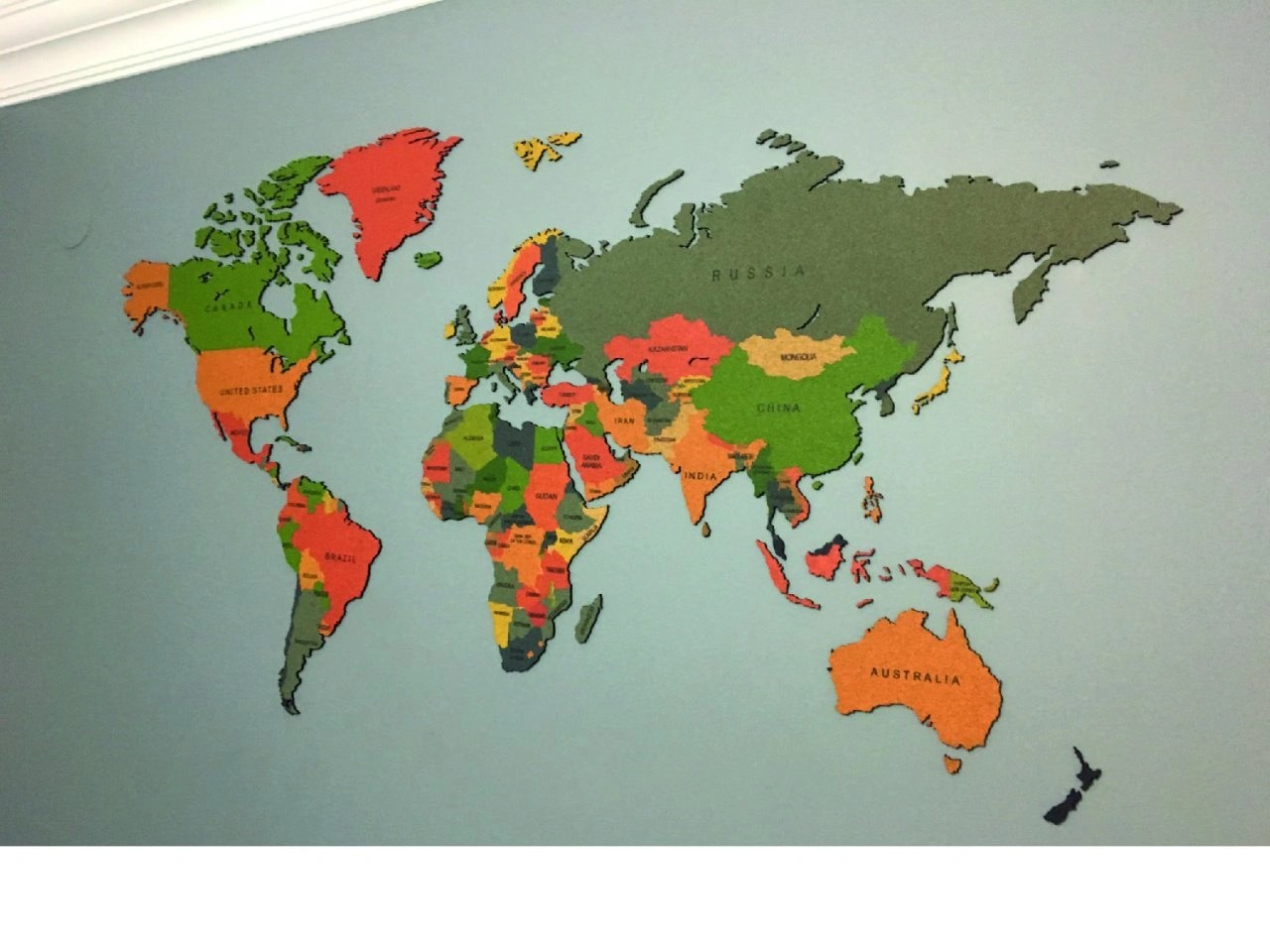 403 - Mantar Dünya Haritası