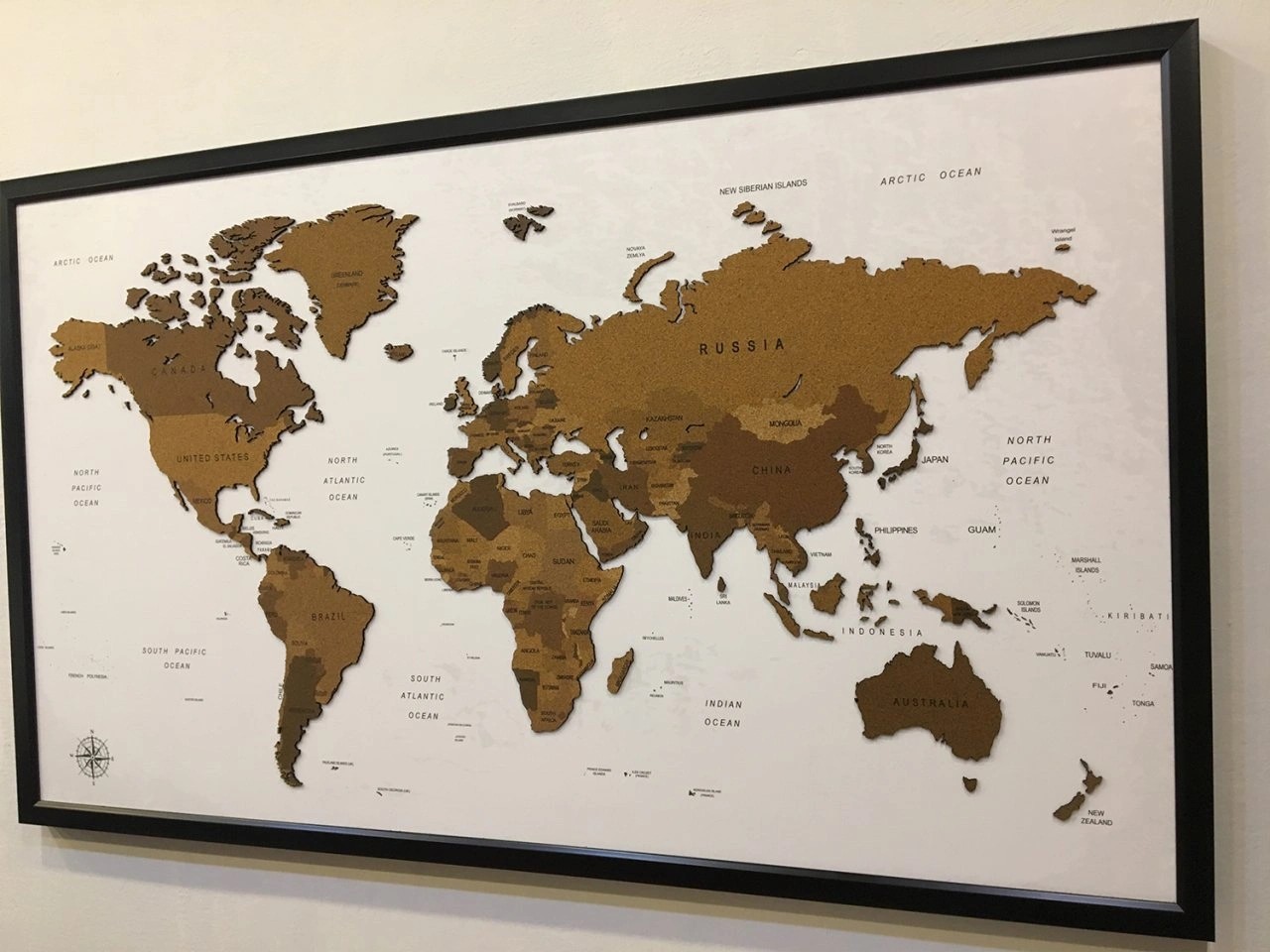 407 - 3D Mantar Dünya Haritası