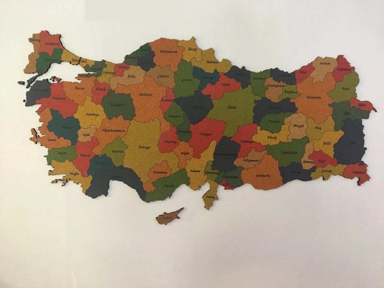409 - Mantar Türkiye Haritası
