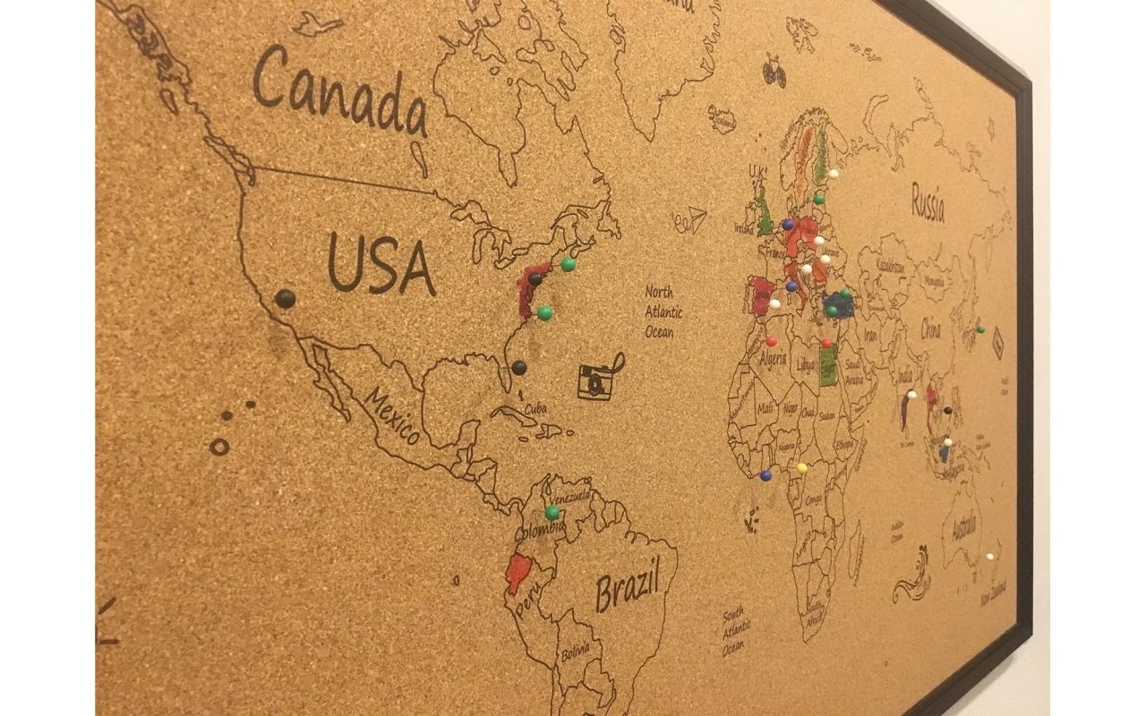 113 Boyanabilir Mantar Dünya Haritası