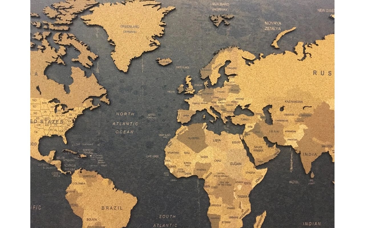 401 - 3D Mantar Dünya Haritası
