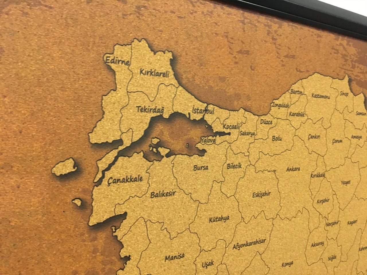 109 - Mantar Türkiye Haritası (Eskitilmiş)